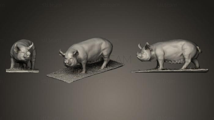 3D model Some Pig_2 (STL)